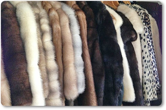 �є甃��E�O���s�Ŗє��������������Ă��炤�Ȃ�R�R�I���z����